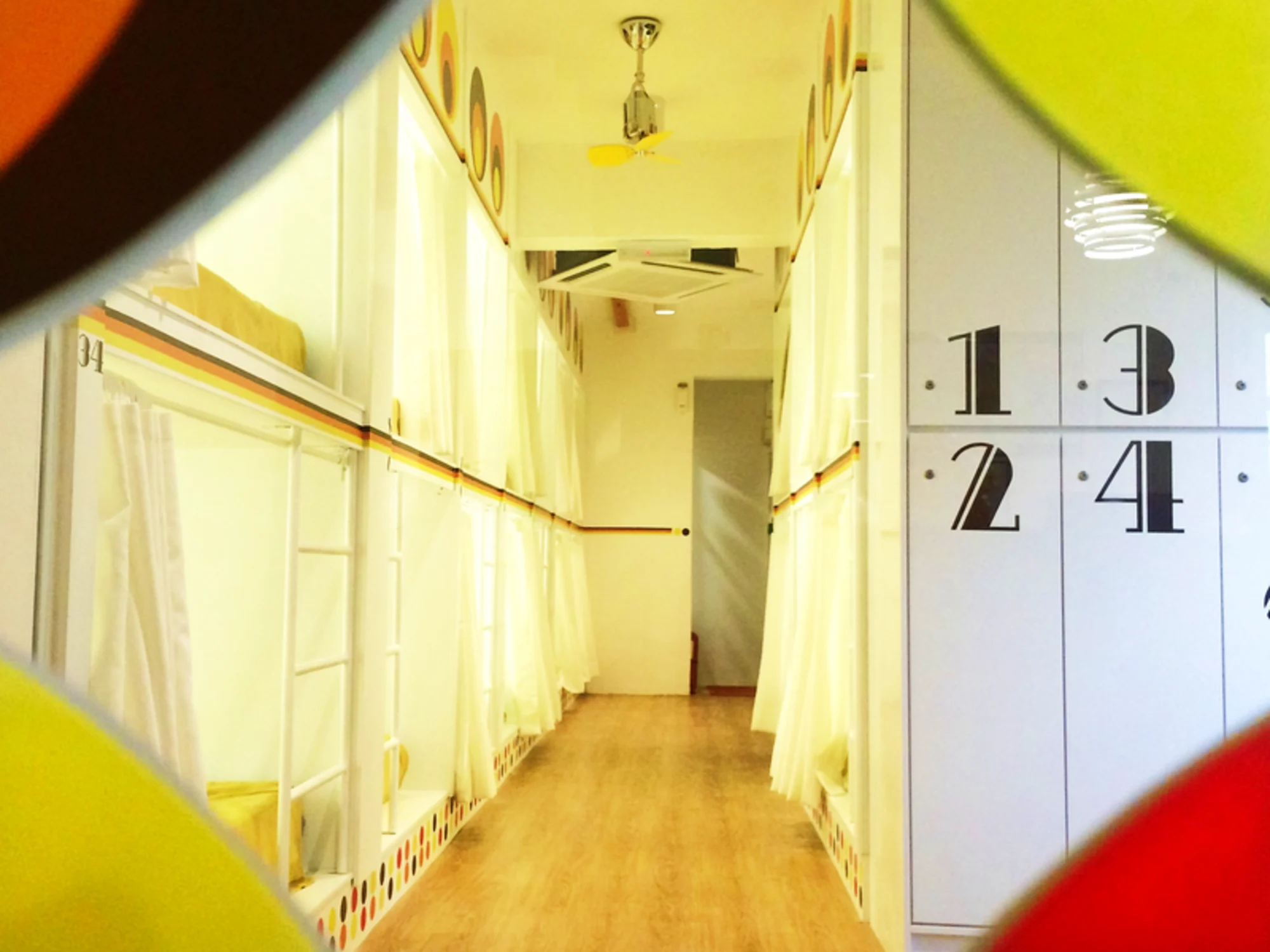 Hostel dorm beds